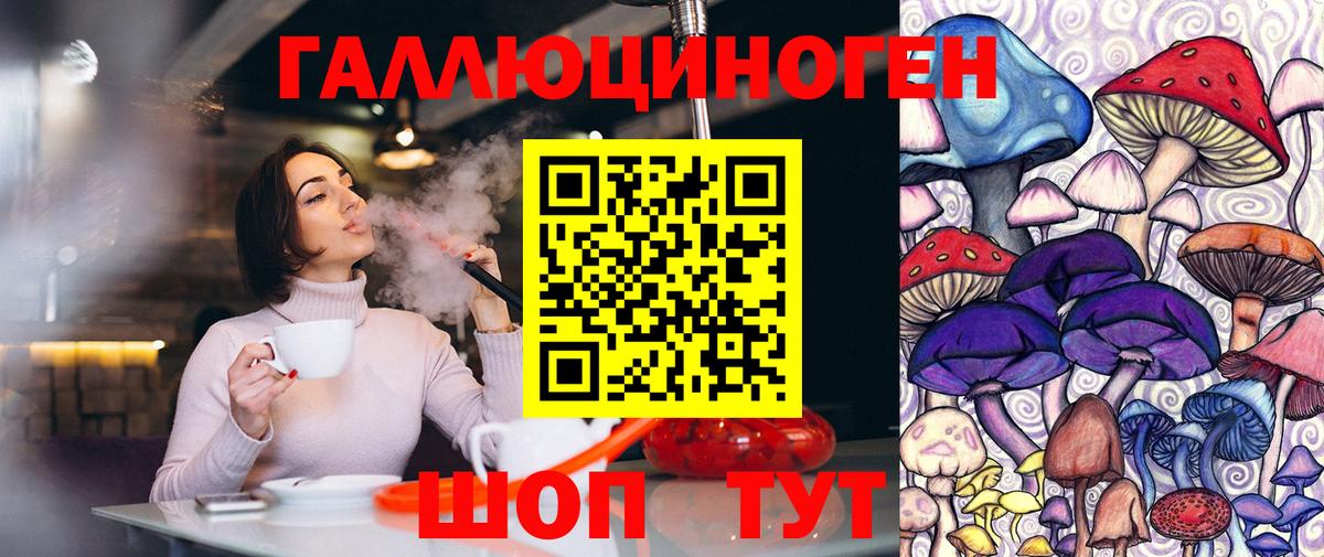 Псилоцибиновые грибы GOLDEN TEACHER Гуково