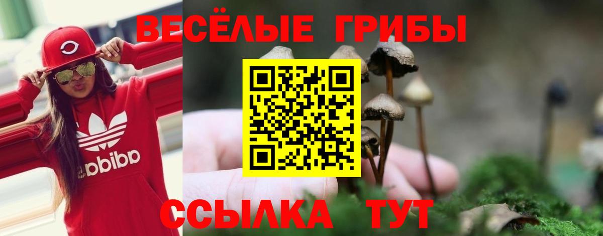 Гуково  где найти   Вход с VPN  Псилоцибиновые грибы Magic Shrooms  Галлюциногенные грибы Magic Shrooms 